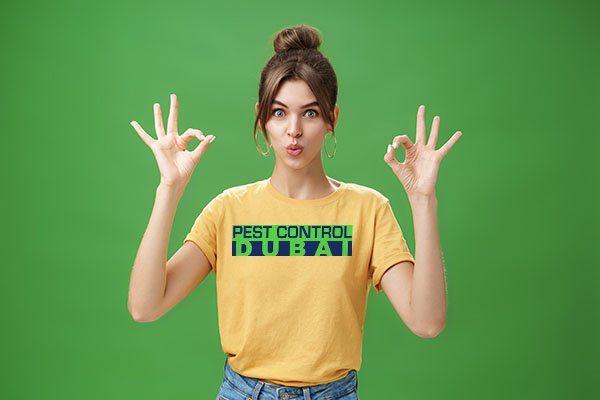 portrait of silly cute and beautiful caucasian woman with combed hair in round earrings and yellow t shirt showing okay, no problem gesture folding lips, reaffirming boss job goes well over green wall