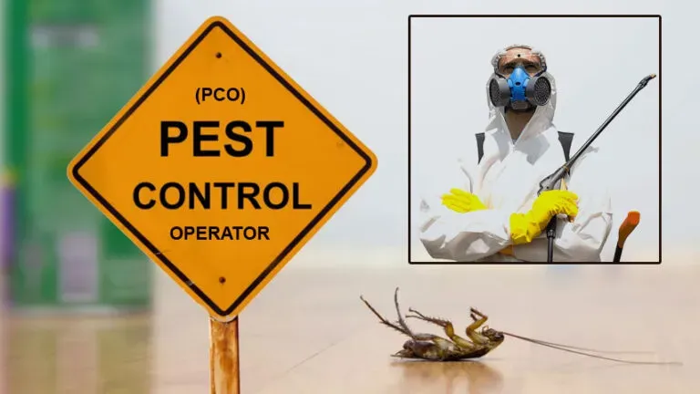 commercial pest control strategies for dubai businesses