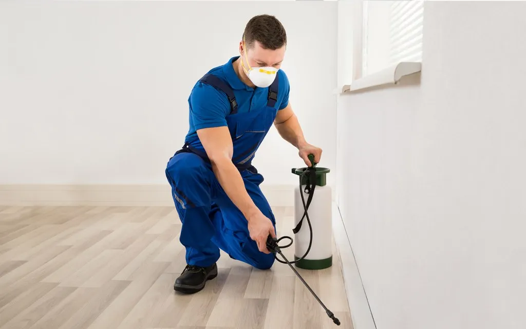 pest control in front dubai